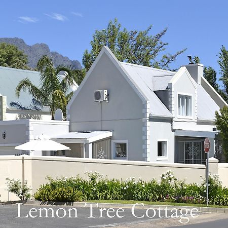 Lemon Tree Cottage Self Catering Franschhoek Kültér fotó