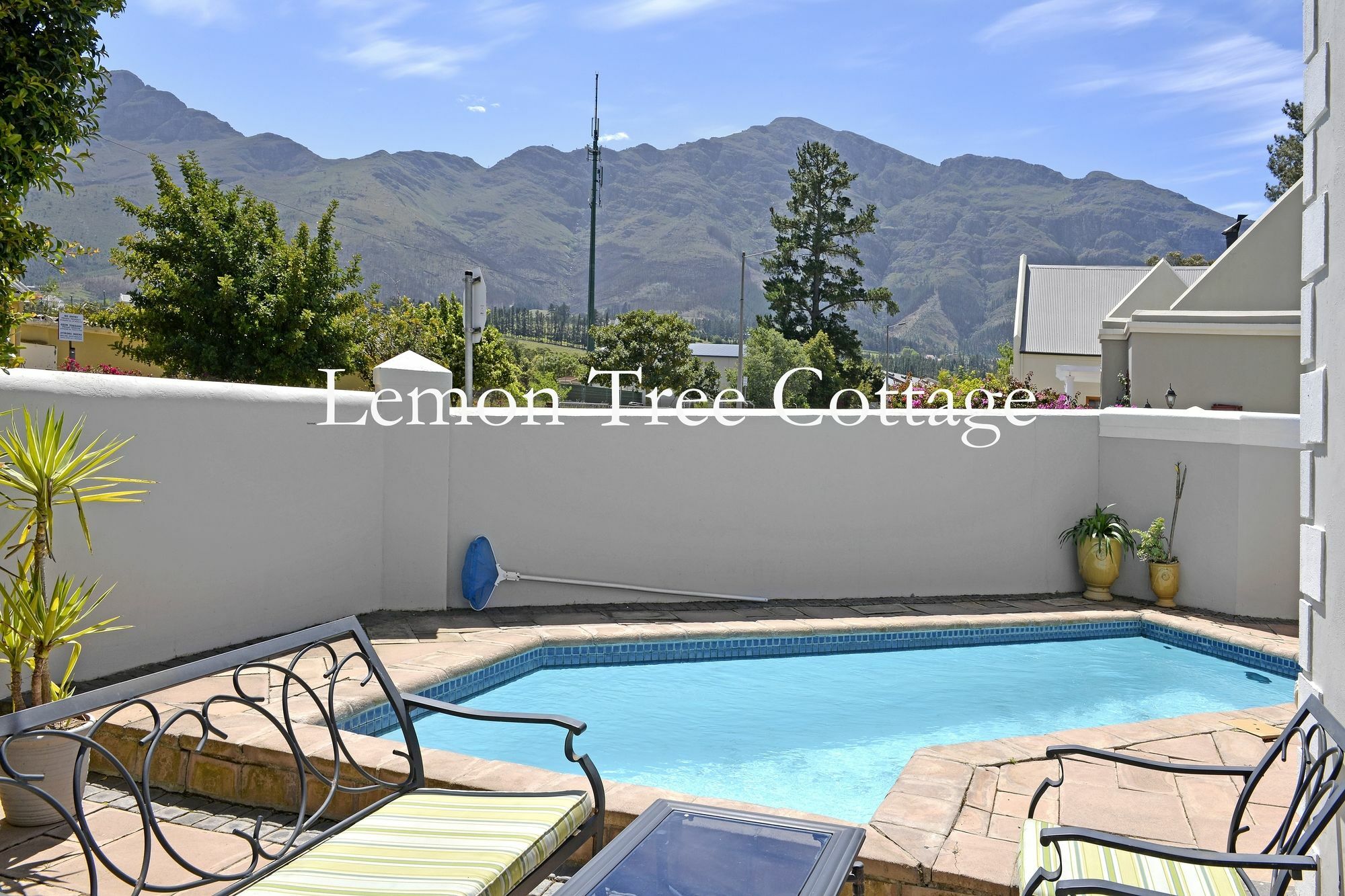 Lemon Tree Cottage Self Catering Franschhoek Kültér fotó