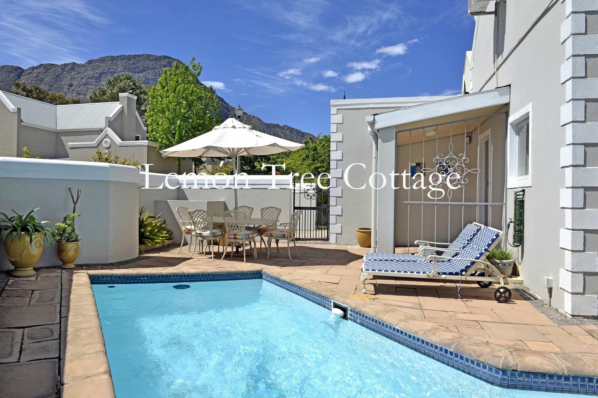 Lemon Tree Cottage Self Catering Franschhoek Kültér fotó